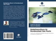 Copertina di Bubalinocultura im Bundesstaat São Paulo