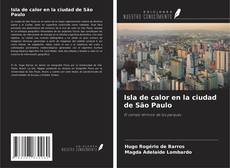 Copertina di Isla de calor en la ciudad de São Paulo