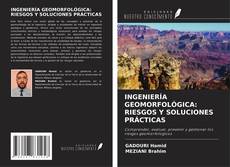 Copertina di INGENIERÍA GEOMORFOLÓGICA: RIESGOS Y SOLUCIONES PRÁCTICAS