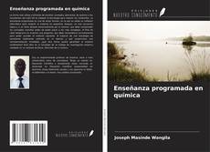 Buchcover von Enseñanza programada en química