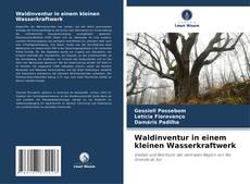 Обложка Waldinventur in einem kleinen Wasserkraftwerk