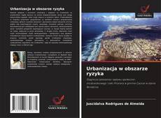 Copertina di Urbanizacja w obszarze ryzyka