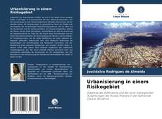 Copertina di Urbanisierung in einem Risikogebiet