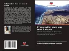 Buchcover von Urbanisation dans une zone à risque