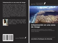 Capa do livro de Urbanización en una zona de riesgo 