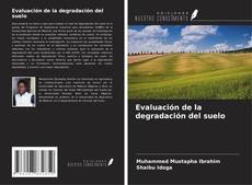 Buchcover von Evaluación de la degradación del suelo