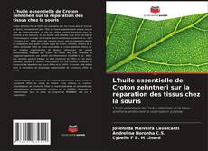 Couverture de L'huile essentielle de Croton zehntneri sur la réparation des tissus chez la souris