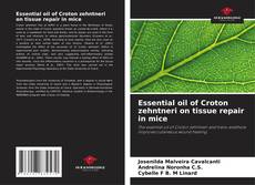 Обложка Essential oil of Croton zehntneri on tissue repair in mice