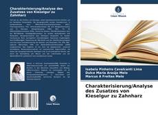 Charakterisierung/Analyse des Zusatzes von Kieselgur zu Zahnharz的封面