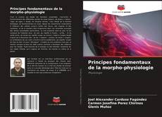 Buchcover von Principes fondamentaux de la morpho-physiologie
