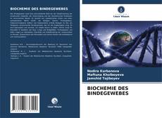 BIOCHEMIE DES BINDEGEWEBES的封面