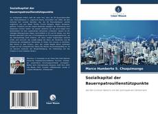 Buchcover von Sozialkapital der Bauernpatrouillenstützpunkte