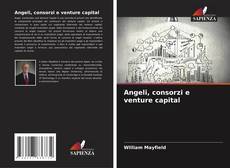 Couverture de Angeli, consorzi e venture capital