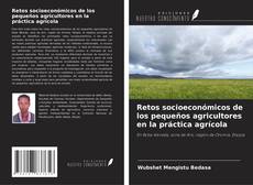 Copertina di Retos socioeconómicos de los pequeños agricultores en la práctica agrícola