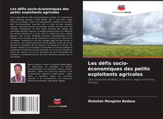 Les défis socio-économiques des petits exploitants agricoles的封面