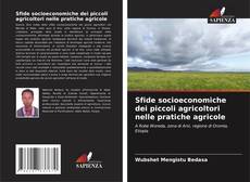 Bookcover of Sfide socioeconomiche dei piccoli agricoltori nelle pratiche agricole
