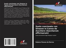 Borítókép a  Suolo concimato con Vinasse in Canna da Zucchero (Saccharum officinarum) - hoz