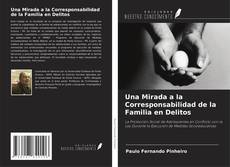 Capa do livro de Una Mirada a la Corresponsabilidad de la Familia en Delitos 