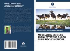 Capa do livro de MODELLIERUNG EINES TRÄNKESYSTEMS DURCH NUMERISCHE METHODE 