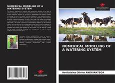 Buchcover von NUMERICAL MODELING OF A WATERING SYSTEM