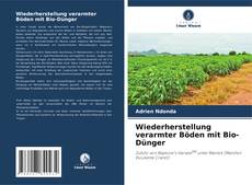 Copertina di Wiederherstellung verarmter Böden mit Bio-Dünger