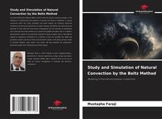 Borítókép a  Study and Simulation of Natural Convection by the Boltz Method - hoz