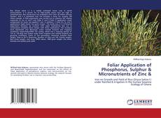 Capa do livro de Foliar Application of Phosphorus, Sulphur & Micronutrients of Zinc & 