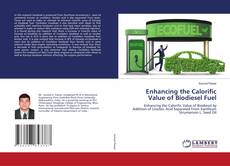 Capa do livro de Enhancing the Calorific Value of Biodiesel Fuel 