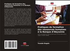 Pratiques de formation des ressources humaines à la Banque d'Abyssinie kitap kapağı