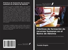 Capa do livro de Prácticas de formación de recursos humanos en el Banco de Abisinia 
