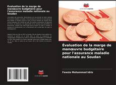 Évaluation de la marge de manœuvre budgétaire pour l'assurance maladie nationale au Soudan kitap kapağı