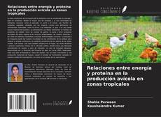Buchcover von Relaciones entre energía y proteína en la producción avícola en zonas tropicales