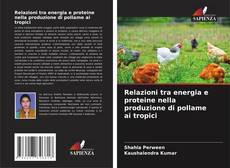 Borítókép a  Relazioni tra energia e proteine nella produzione di pollame ai tropici - hoz