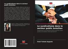 Le syndicalisme dans le secteur public brésilien kitap kapağı