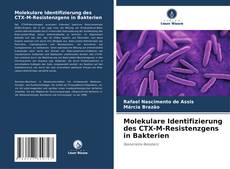 Borítókép a  Molekulare Identifizierung des CTX-M-Resistenzgens in Bakterien - hoz