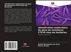 Identification moléculaire du gène de résistance CTX-M chez les bactéries kitap kapağı