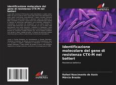 Borítókép a  Identificazione molecolare del gene di resistenza CTX-M nei batteri - hoz