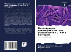 Обложка Молекулярная идентификация гена устойчивости к CTX-M в бактериях