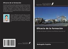 Capa do livro de Eficacia de la formación 