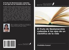 Buchcover von El fruto de Neolamarckia cadamba A los ojos de un científico de la vida
