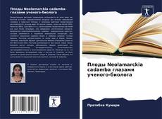 Buchcover von Плоды Neolamarckia cadamba глазами ученого-биолога