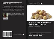 Buchcover von Degradación de sustratos por el hongo del sol