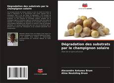 Dégradation des substrats par le champignon solaire kitap kapağı