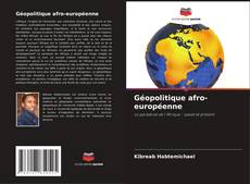 Géopolitique afro-européenne kitap kapağı