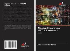 Borítókép a  Algebra lineare con MATLAB Volume I - hoz