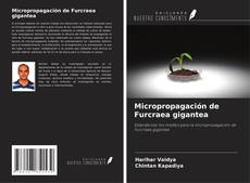 Couverture de Micropropagación de Furcraea gigantea