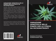 Borítókép a  VARIAZIONE GENOTIPICA NELLE PIANTE PER LO STRESS DA MICRONUTRIENTI - hoz