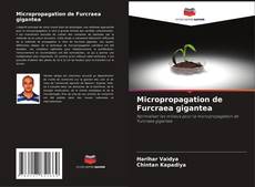 Capa do livro de Micropropagation de Furcraea gigantea 