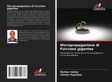 Borítókép a  Micropropagazione di Furcraea gigantea - hoz