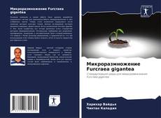 Микроразмножение Furcraea gigantea kitap kapağı